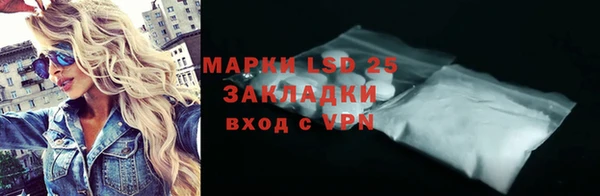 стаф Дмитров