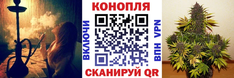 Каннабис план  Купить  Лесосибирск 